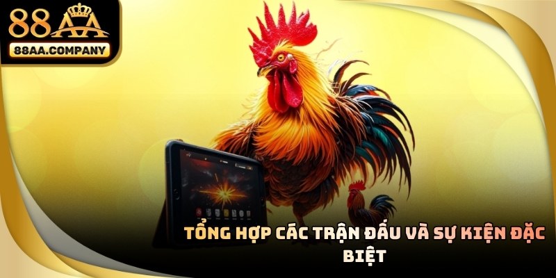Tổng hợp các trận đấu đặc biệt đá gà 88aa