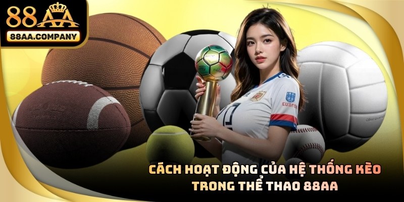 Thể thao 88aa về hoạt động bảng kèo